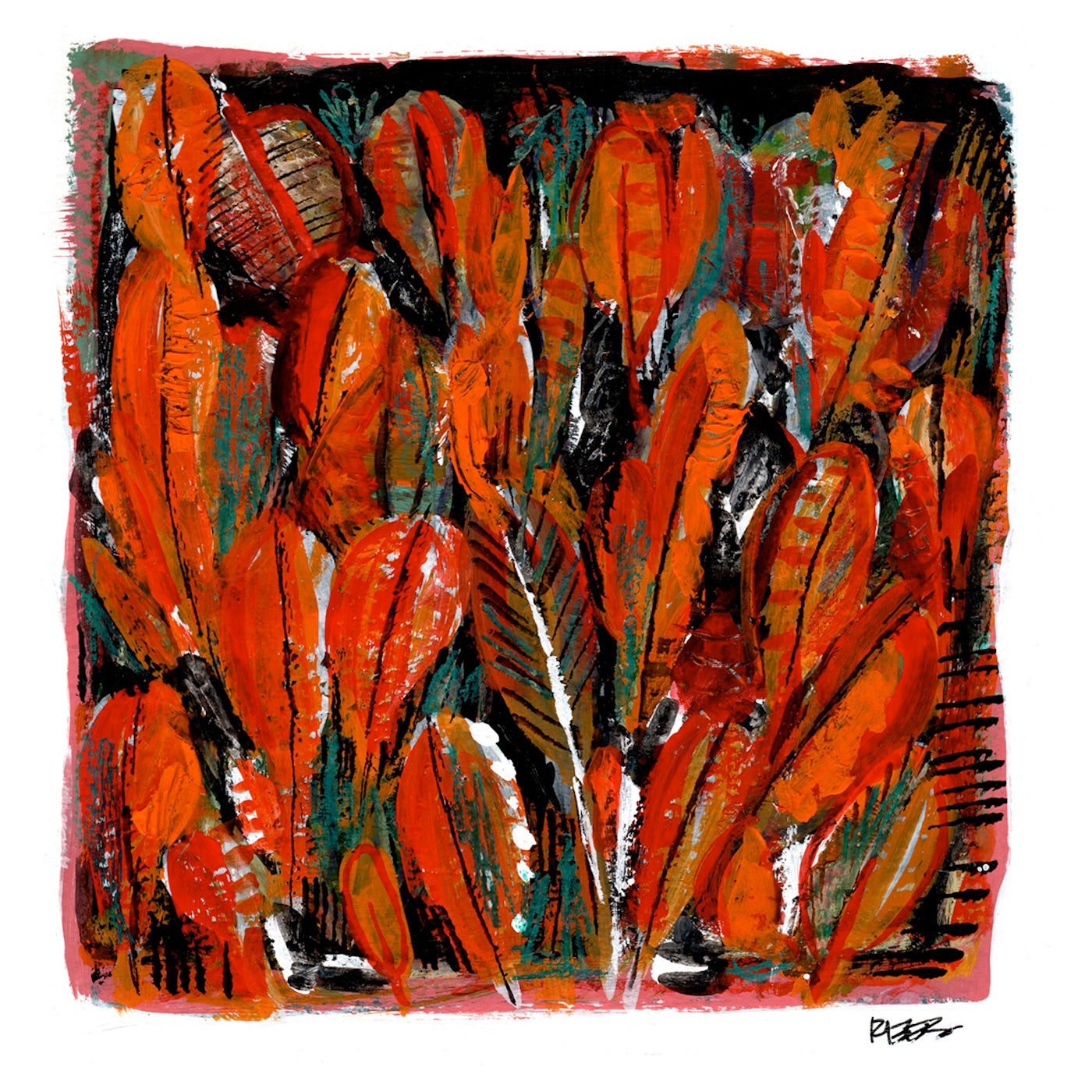 Croton Petras for Petra