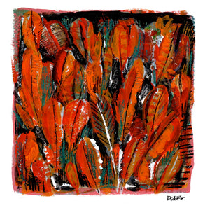 Croton Petras for Petra