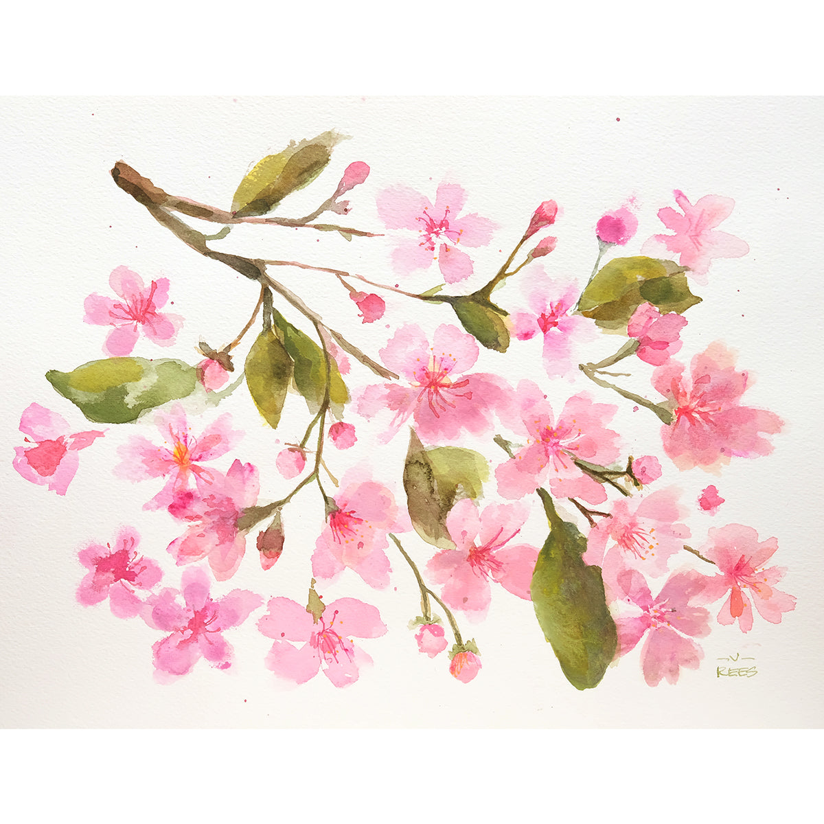 Plum Blossoms