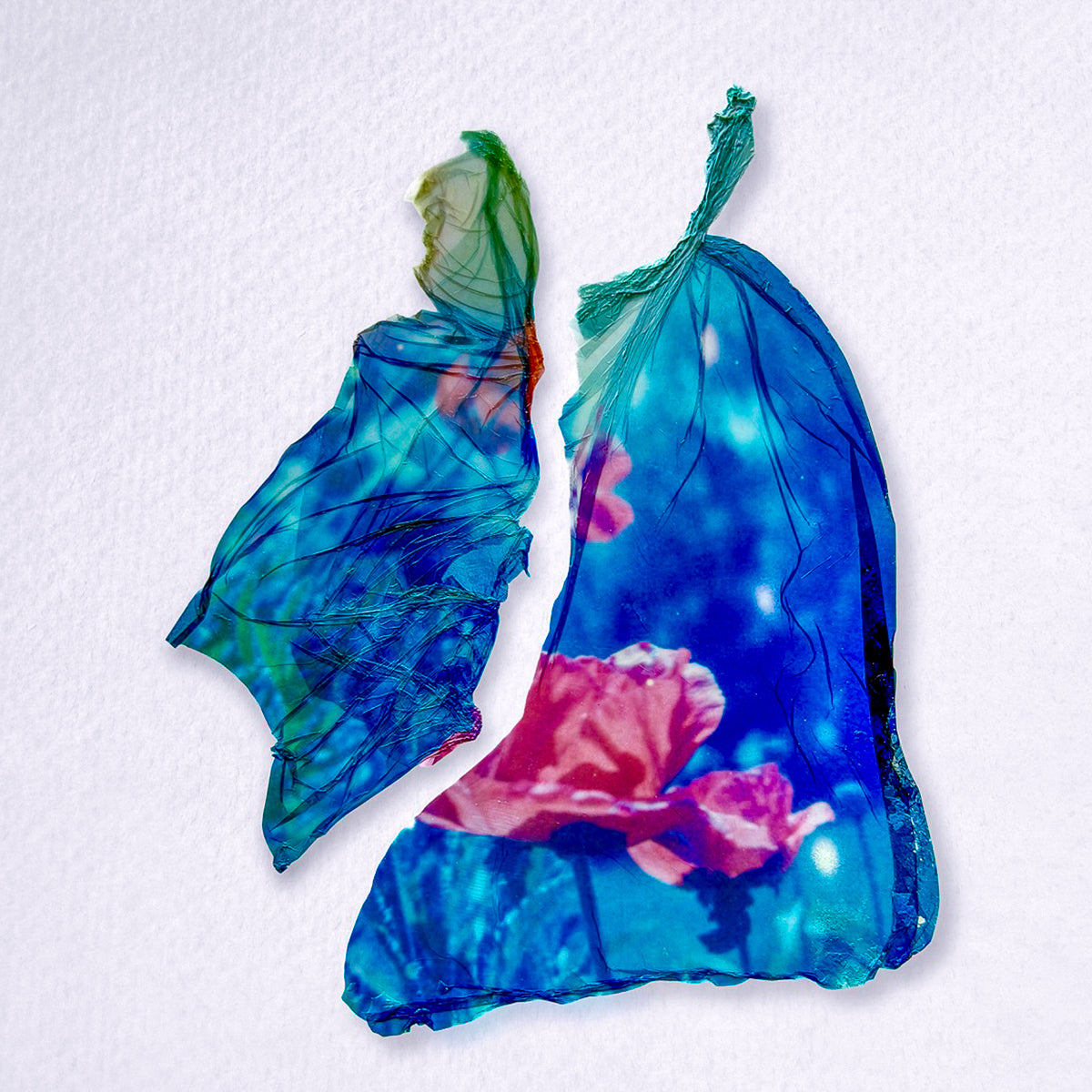 Polaroid Emulsion Transfer Art Class - Thurs. 7.9.26 @ 1:30P