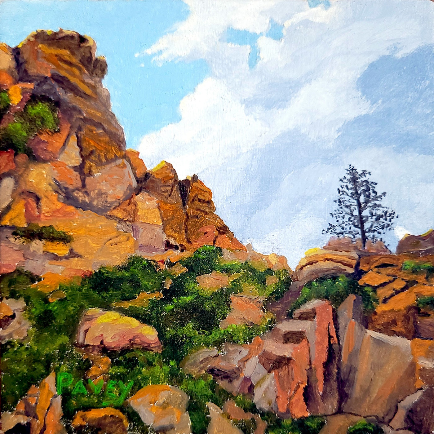 #170 Poudre Canyon #1