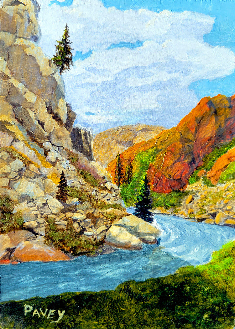#171 Poudre Canyon #2