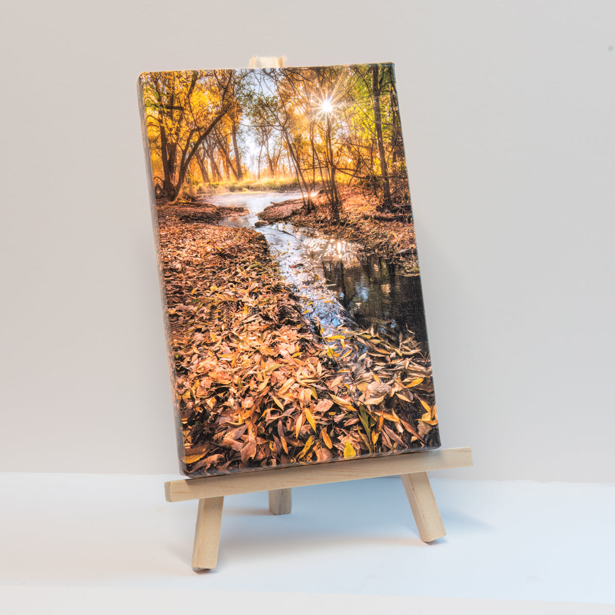 Poudres Edge-Easel