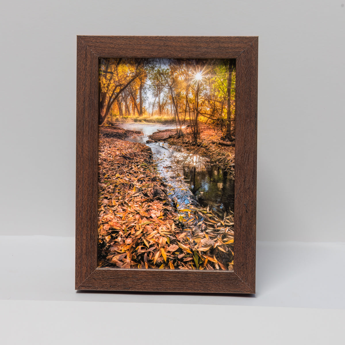 Poudres Edge Fall Mini-4x6-Frame1