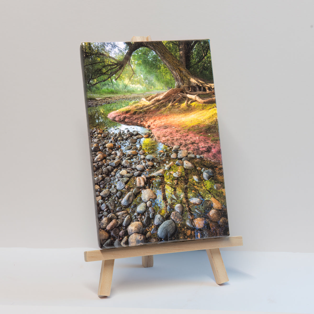 Poudres Edge Summer-Easel