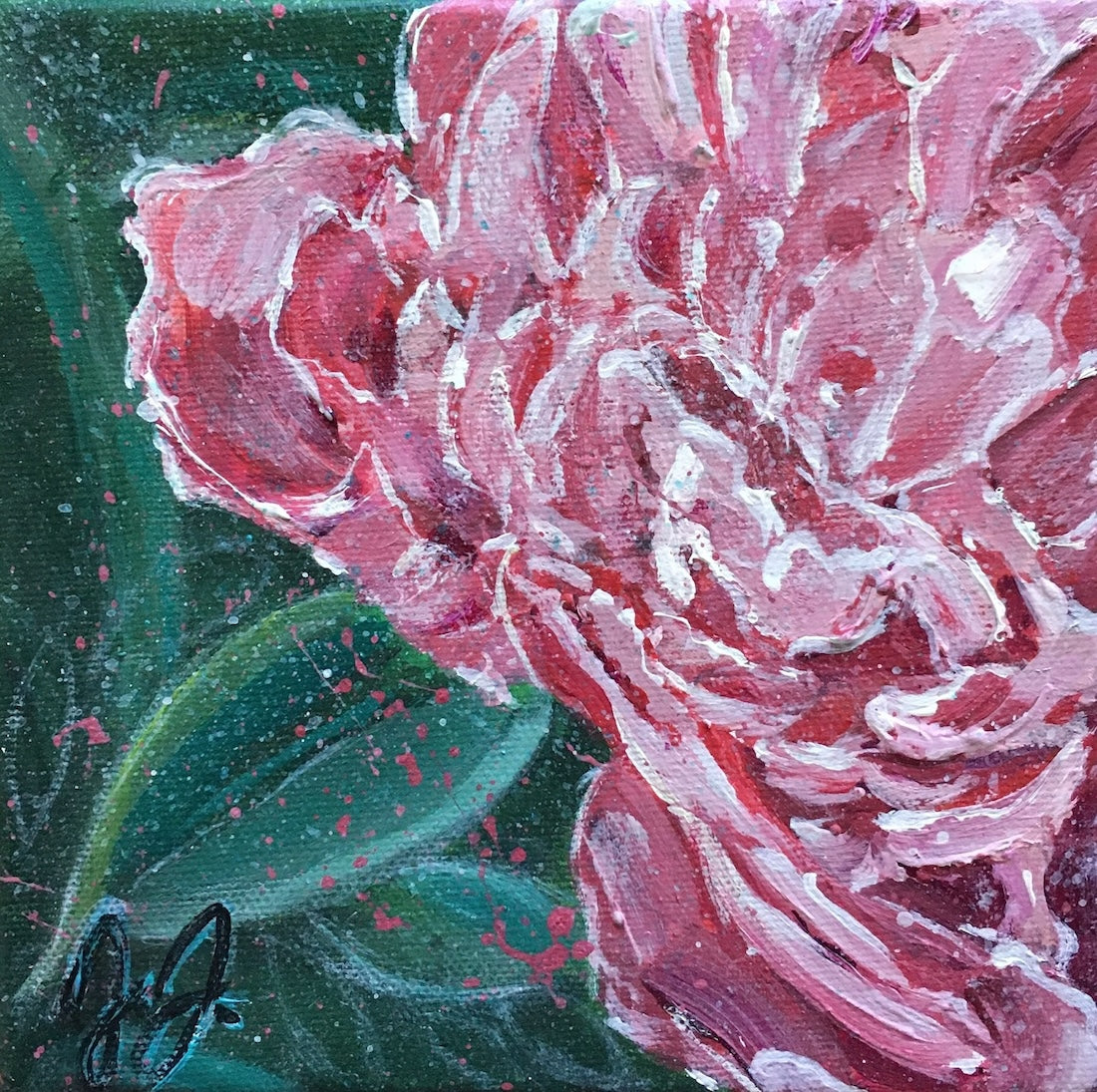 Pretty in Pink - Peony