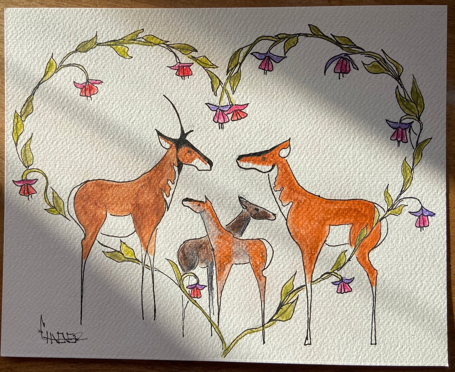 Pronghorn with Fushia Love
