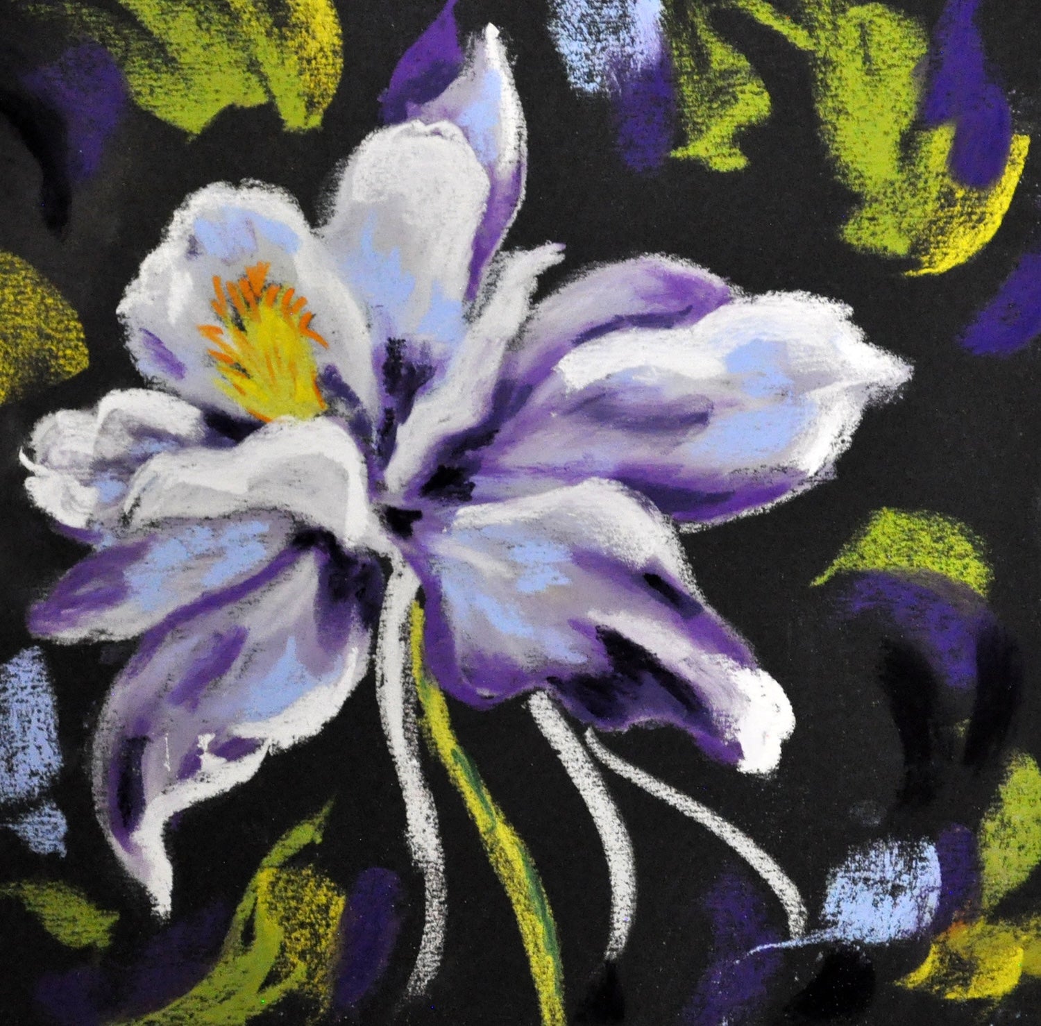 Purple Columbine-Framed Miniature