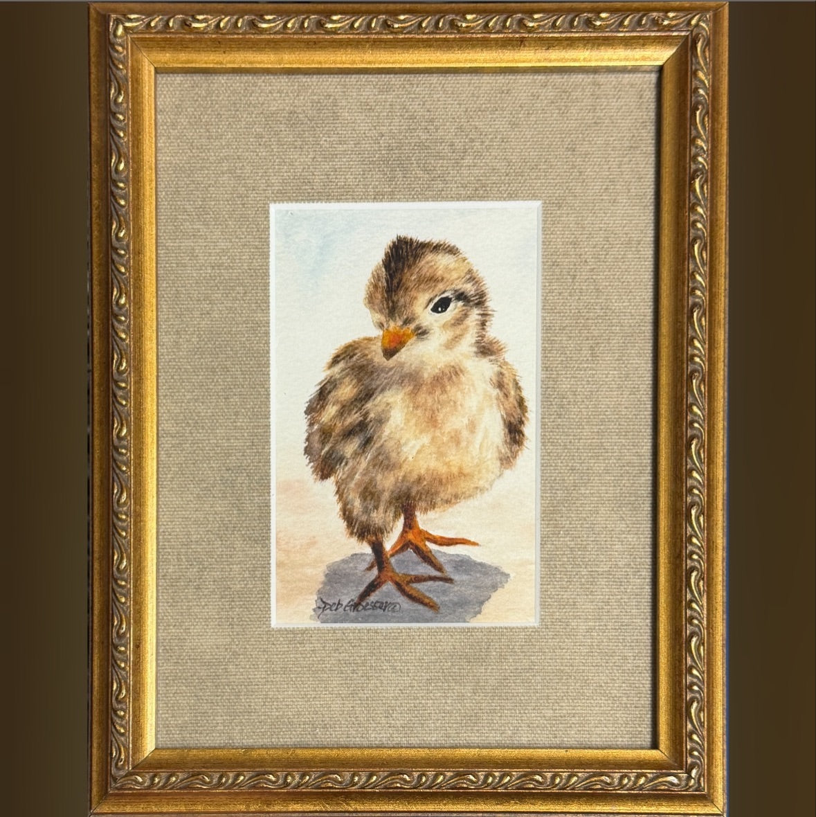 Quail Chick