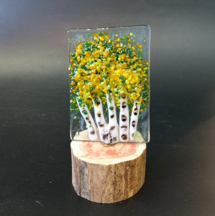 Fall Aspen Trees Fused Glass Art Class Sat. 10.17.26 @ 6P