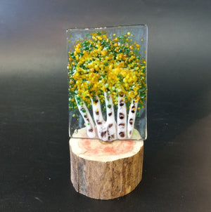 Fall Aspen Trees Fused Glass Art Class Sat. 10.17.26 @ 6P