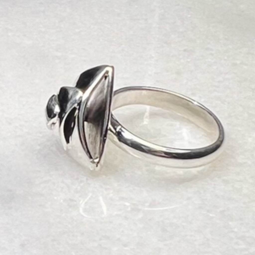 Rotating Triangle Ring