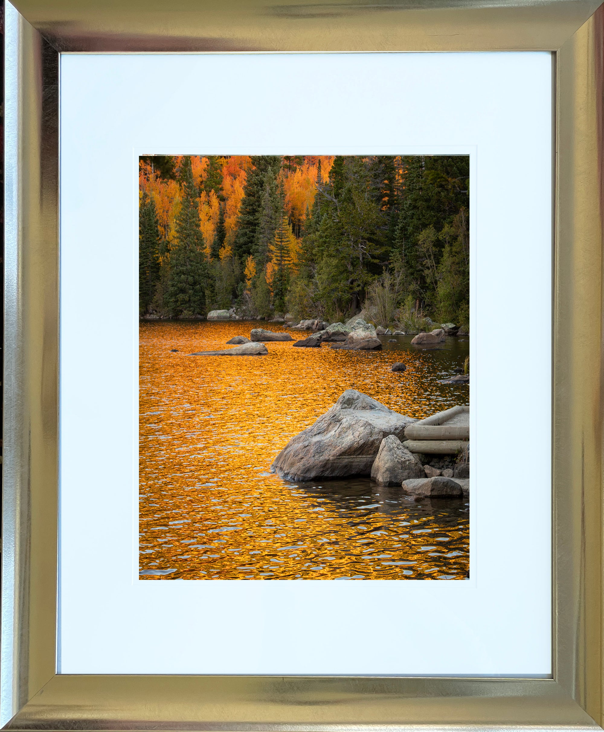 Bear Lake Reflections