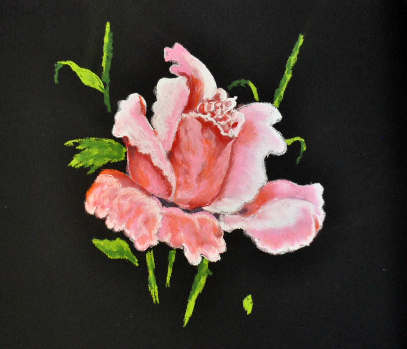 Notecard 6 pack: Spring Rose