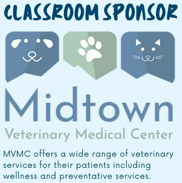 In-Person Classes - Blue Moose Art Gallery