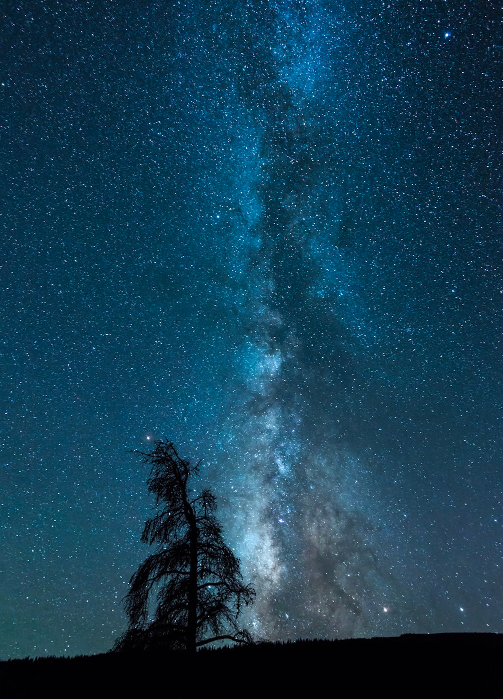 Shrine Pass Milky Way