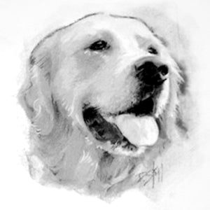 Pet Portrait Sketching Art Class-Sat. 1.18.25 @ 10 AM