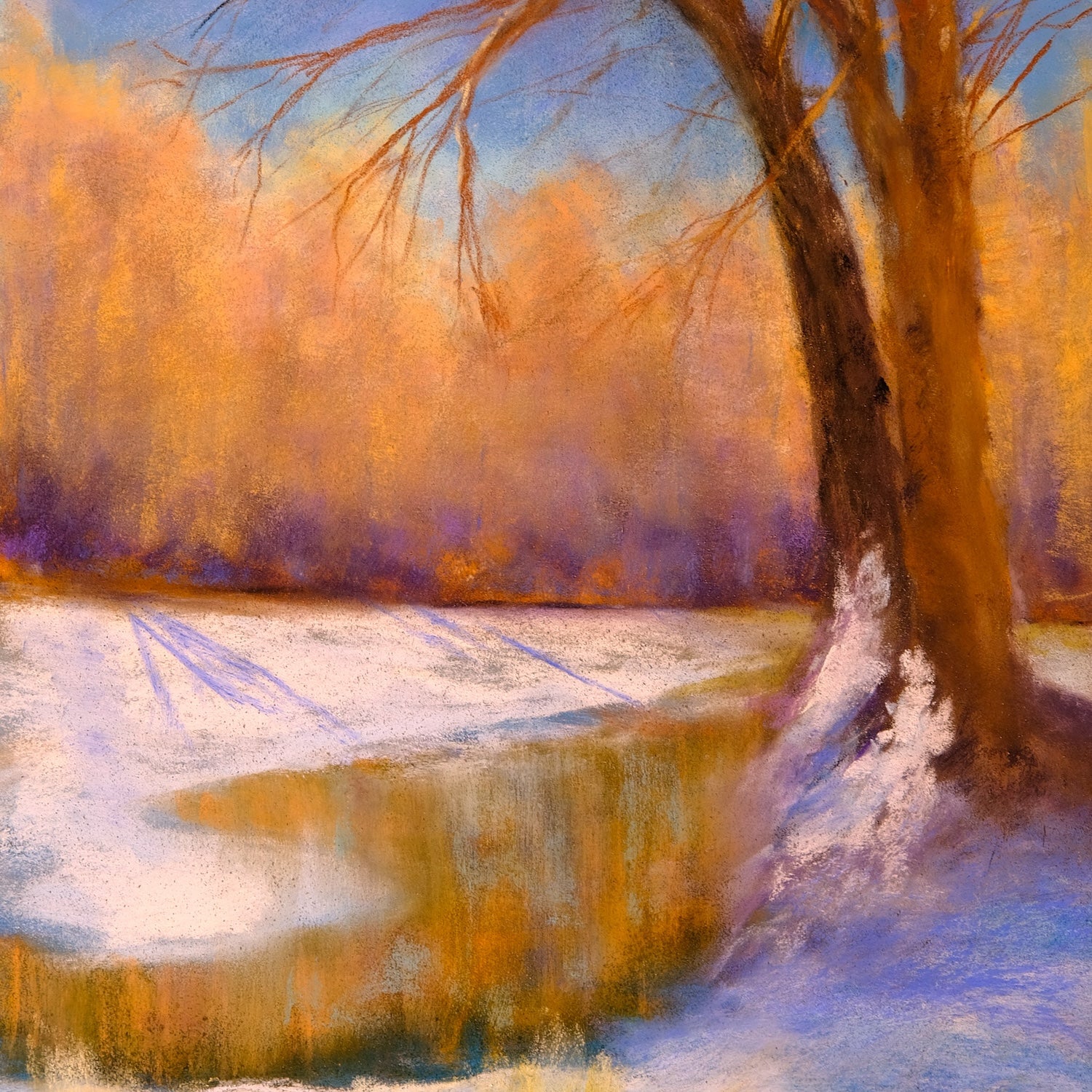 Snow Shadow