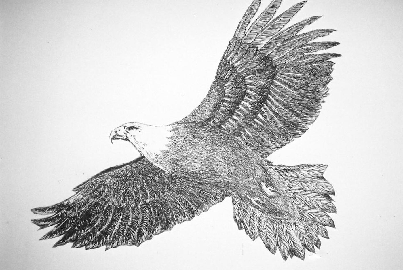 SOARING-Framed Print