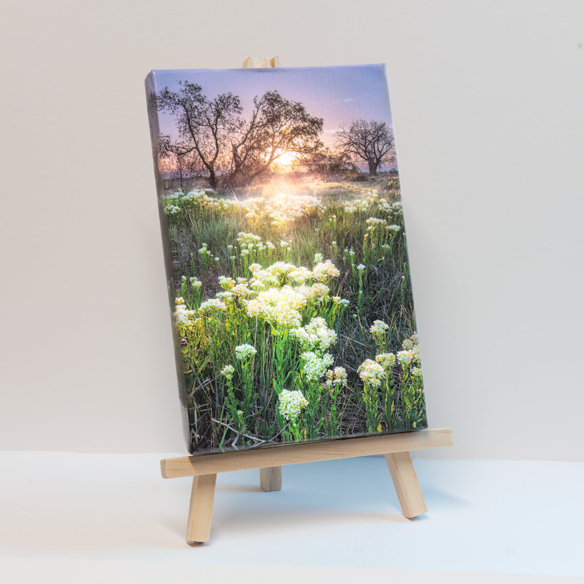 Sping Dawn-Easel