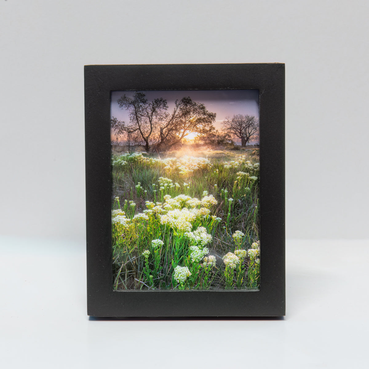 Spring Dawn Mini-3x4-Frame1