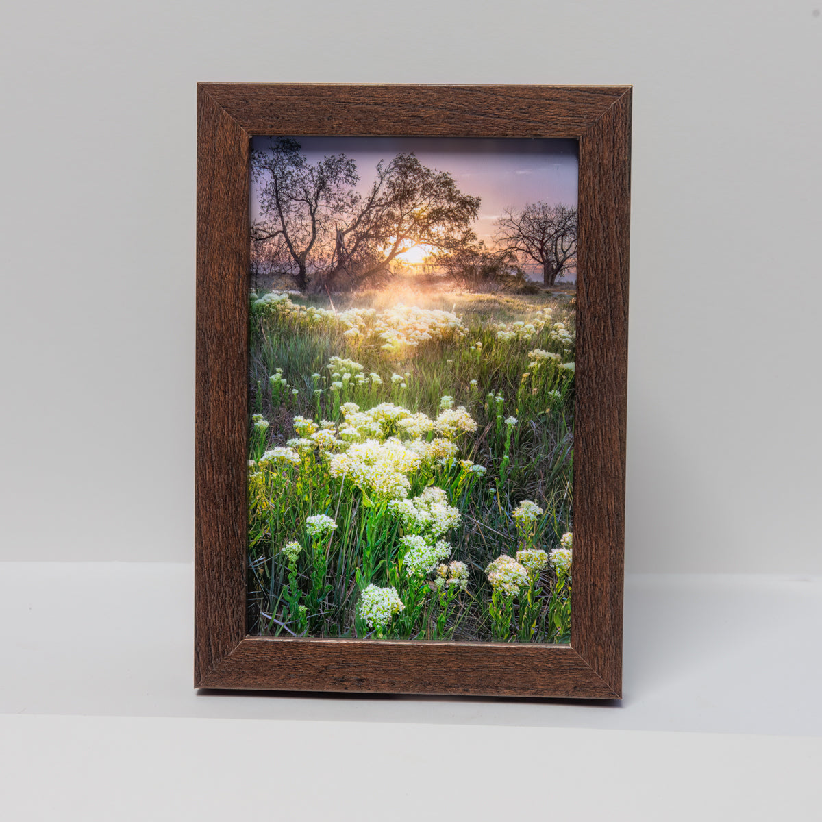 Spring Dawn Mini-4x6-Frame1