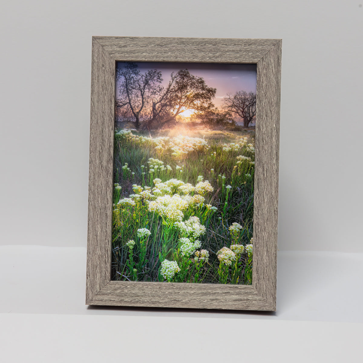 Spring Dawn Mini-4x6-Frame2