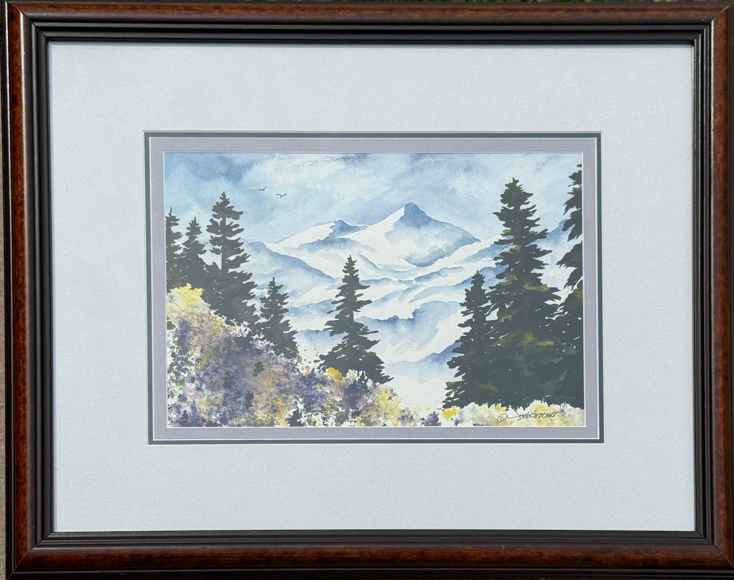 Summer in the Mountains