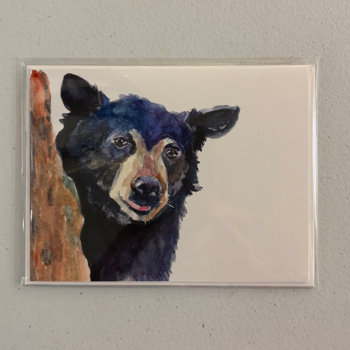 Animal Cards