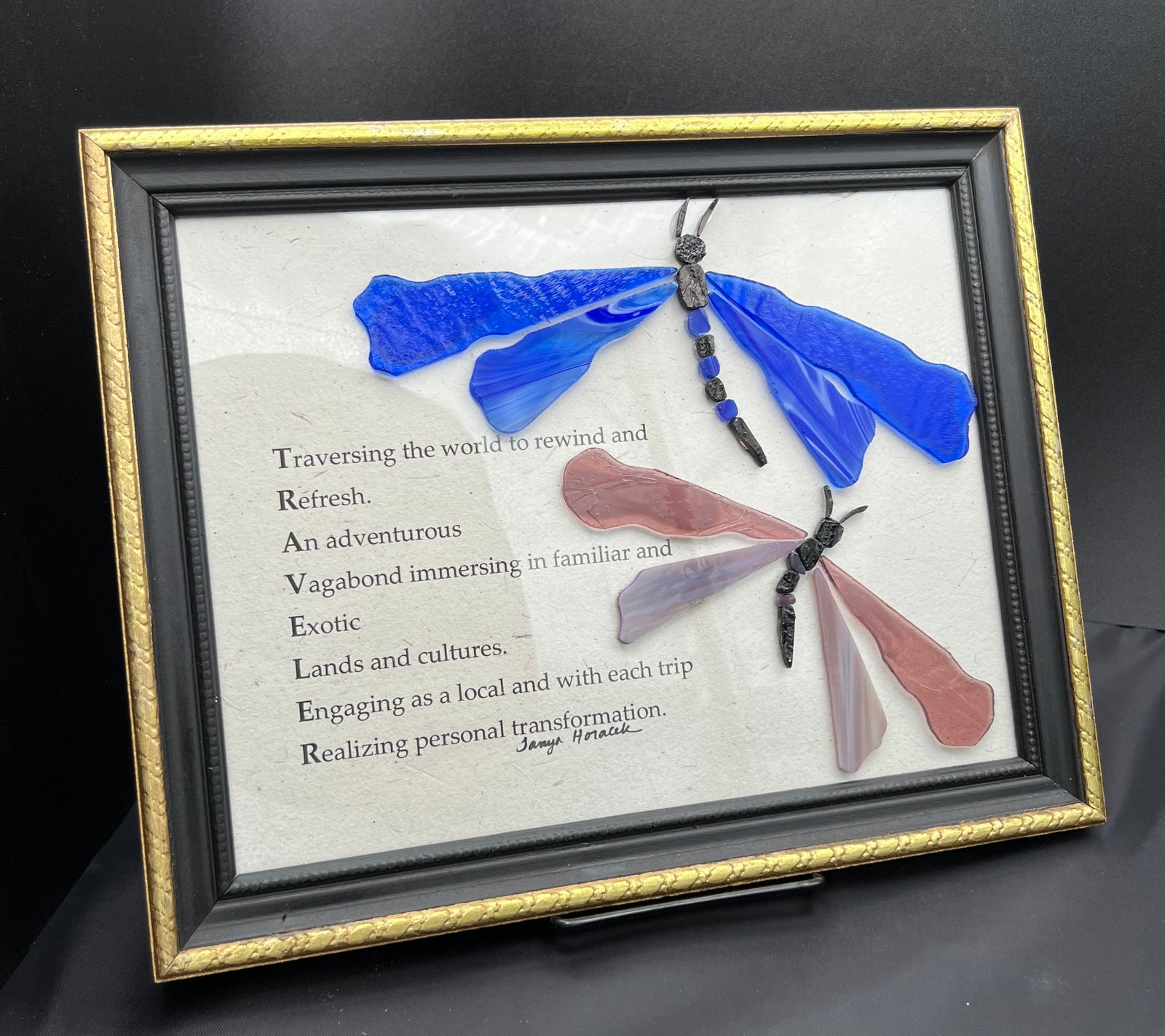 Traveler with Dragonflies