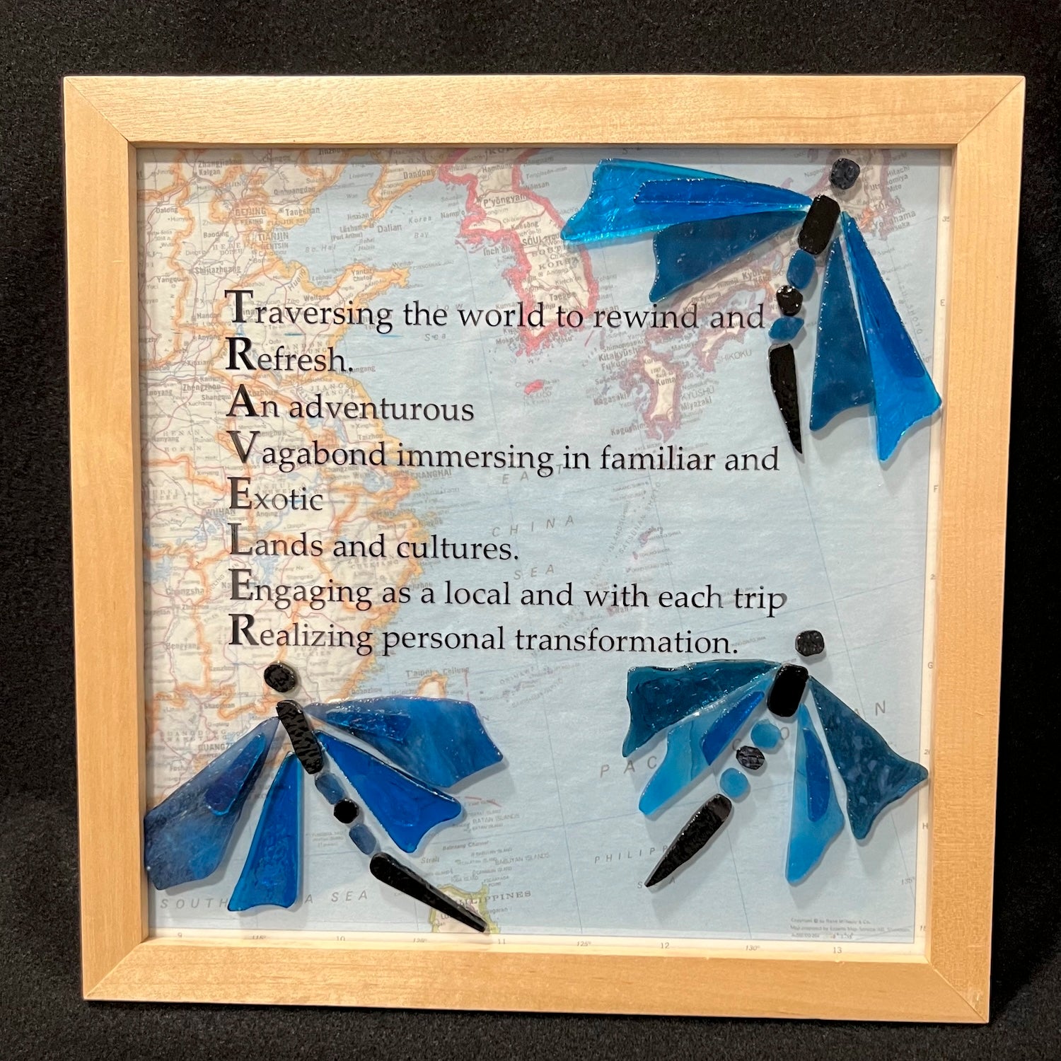 Traveling the World with Dragonflies