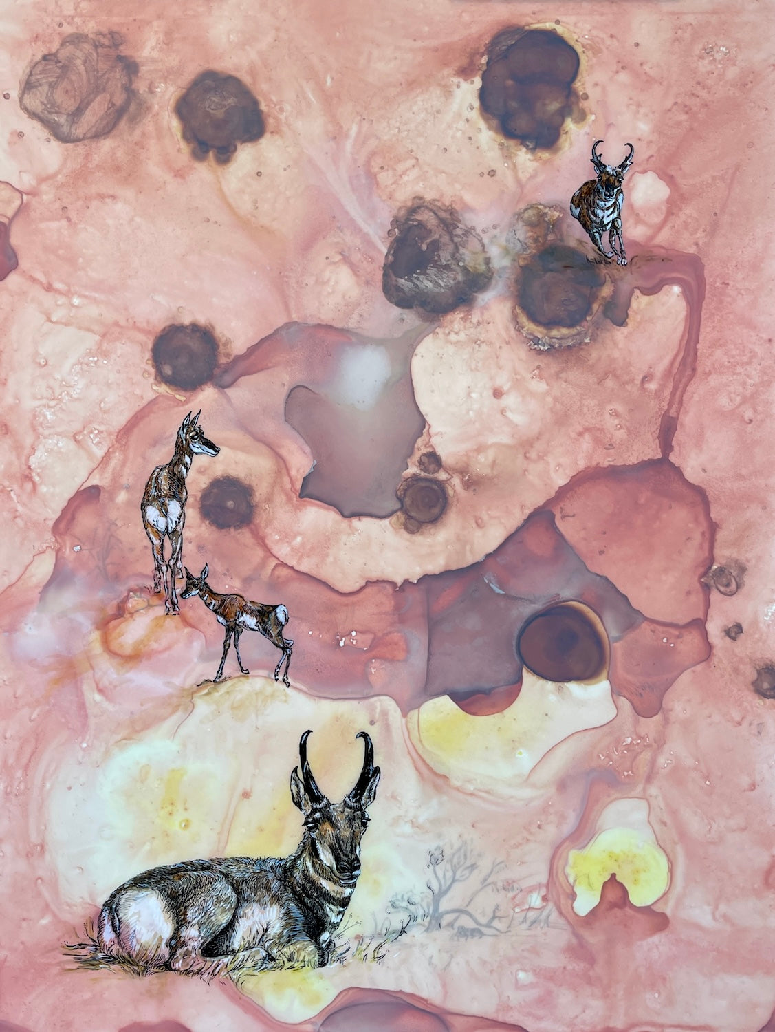 Trouble is Coming--Website Exclusive