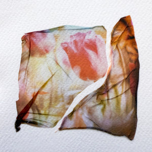 Polaroid Emulsion Transfer Art Class - Thurs. 7.9.26 @ 1:30P