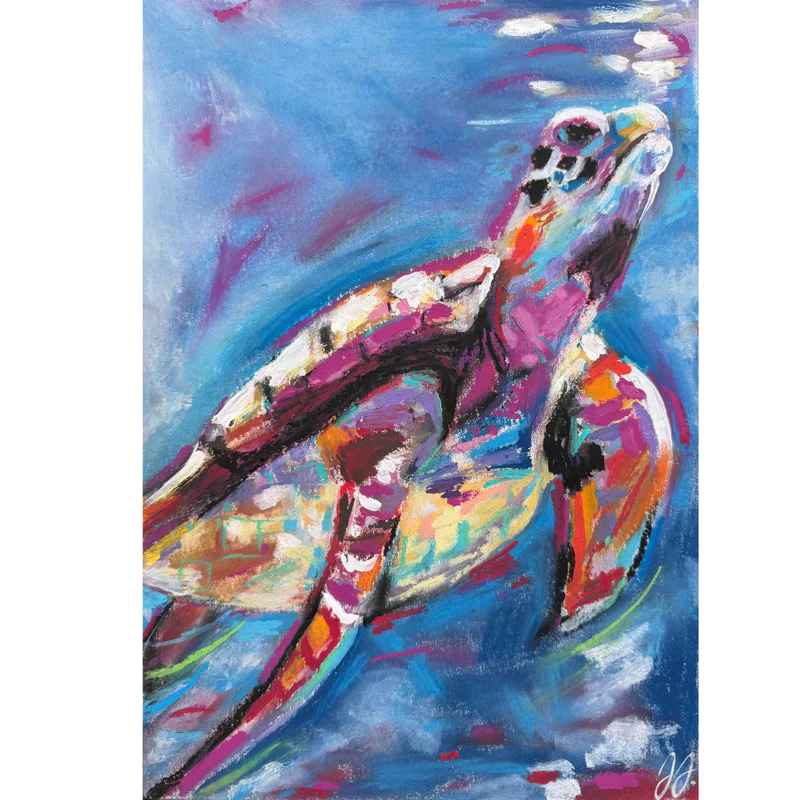 Turtle Dreams