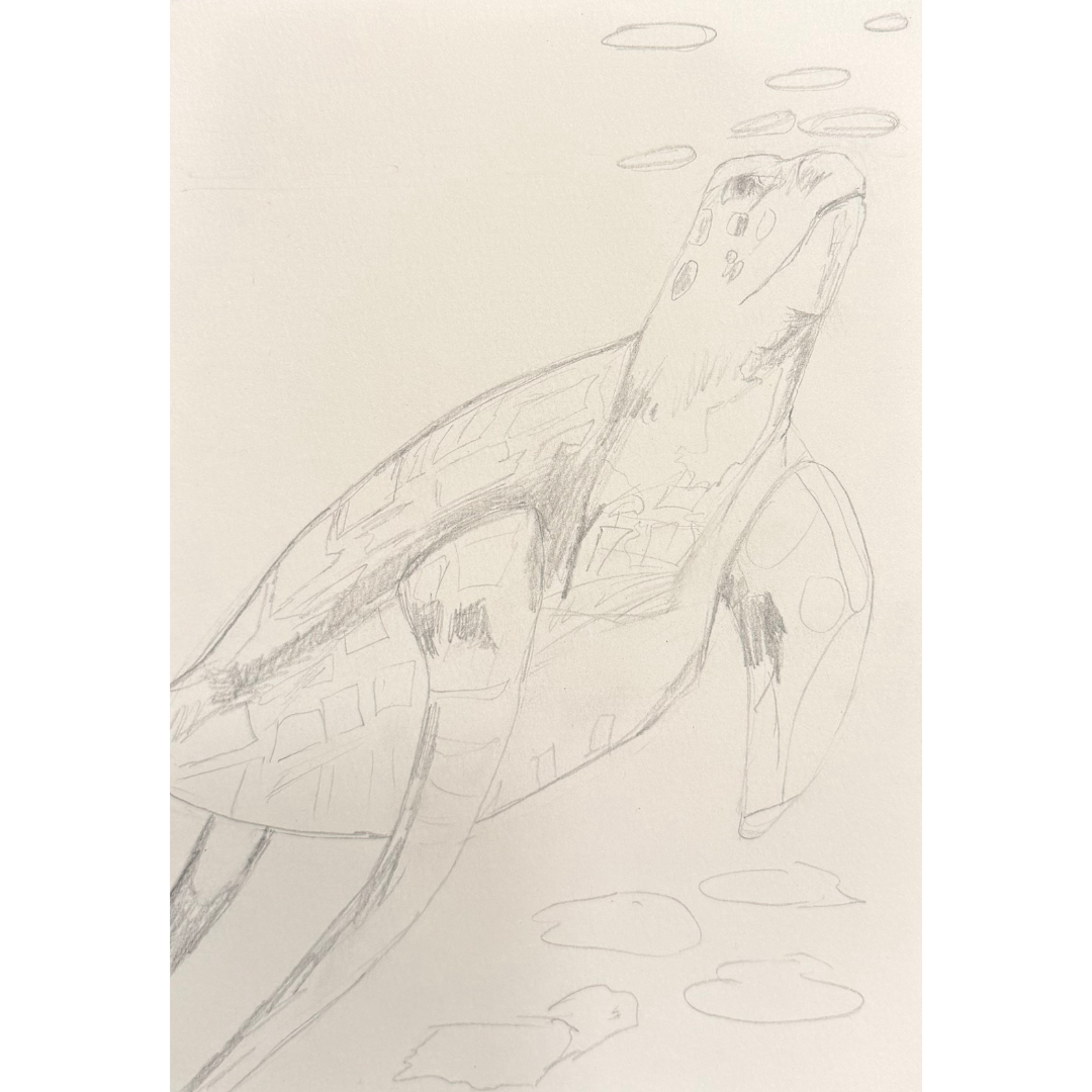 Turtle Dreams: An Underwater Pastel Experience Art Class Sat. 3.7.26 @ 2 PM