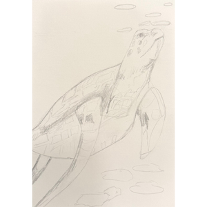 Turtle Dreams: An Underwater Pastel Experience Art Class Sat. 3.7.26 @ 2 PM