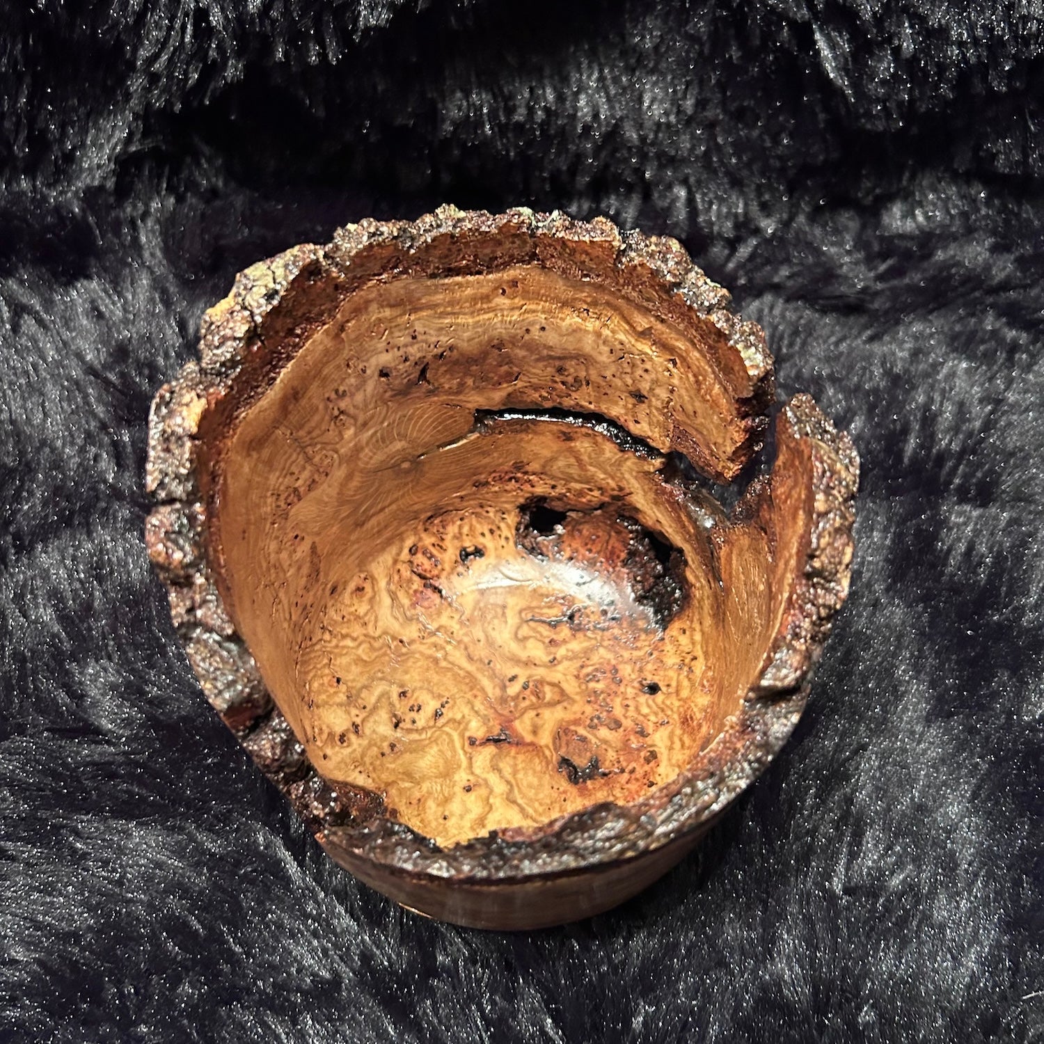 White Oak Burl 8-26 M