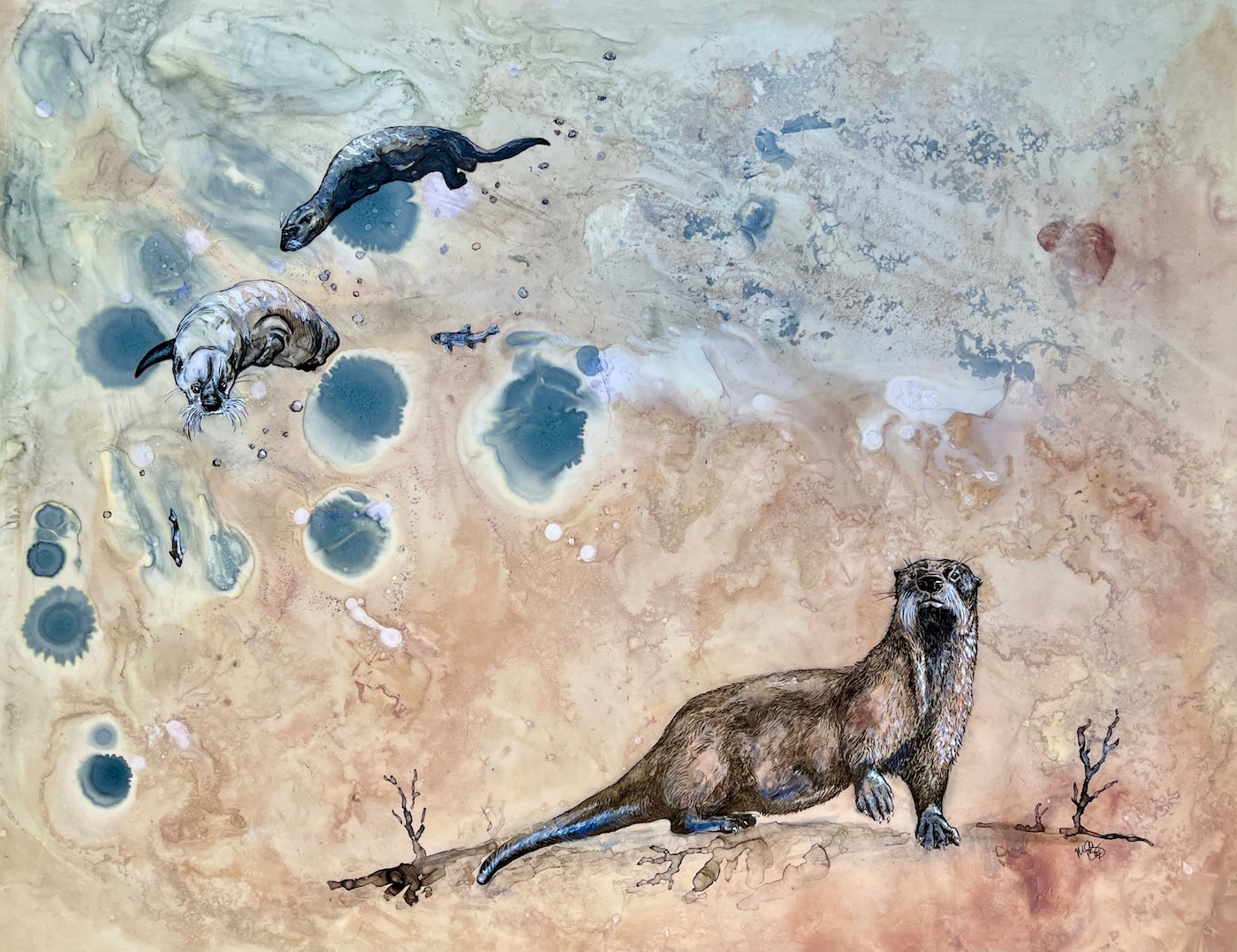 Why I Otter-Website Exclusive