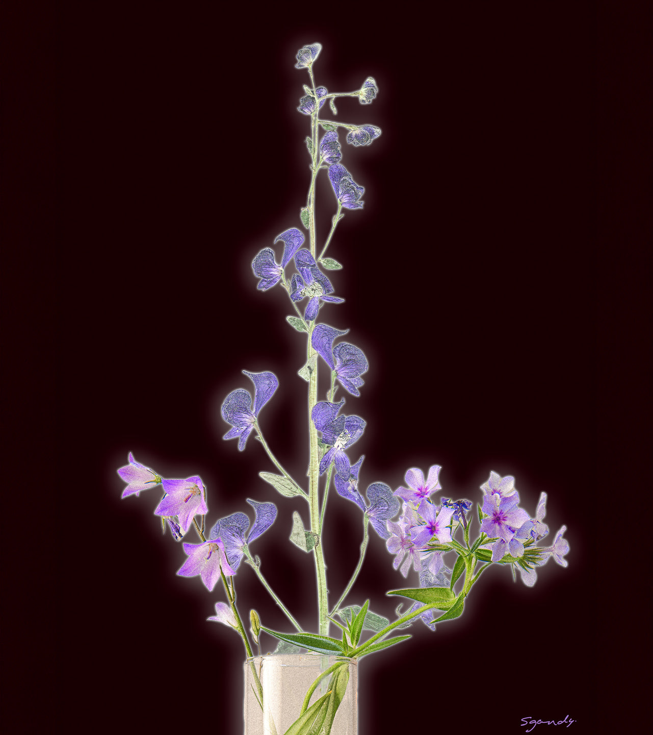 Wildflowers Aglow 1-removed