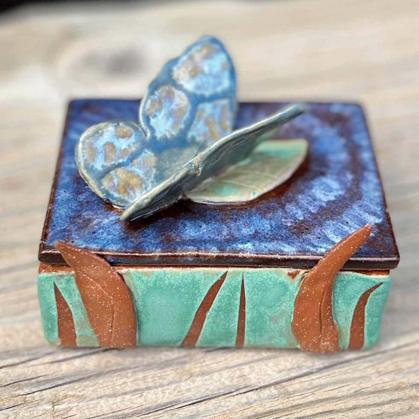 Wings in the Grass Trinket Box
