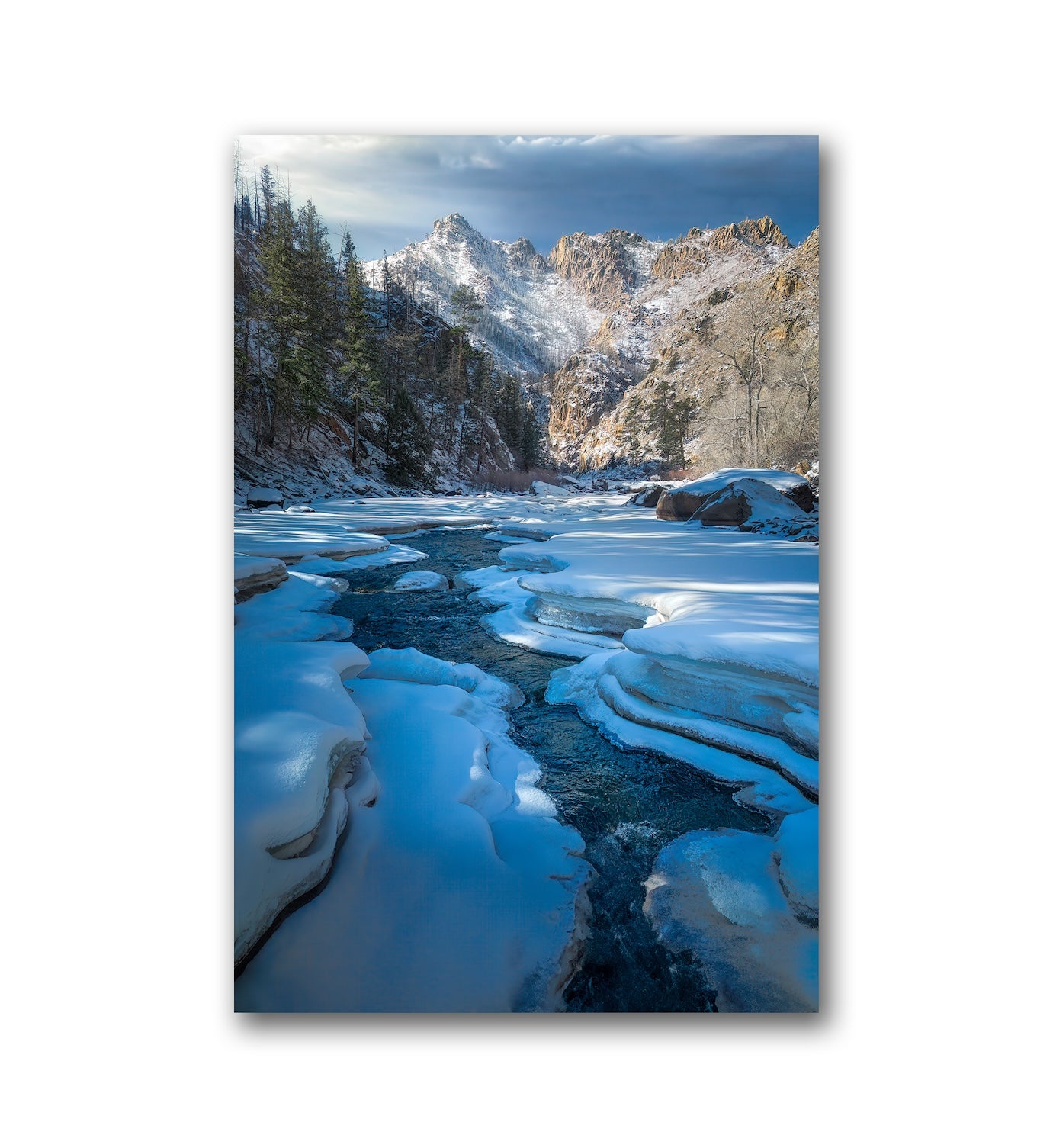 Winter Symphony - Aluminum Dibond