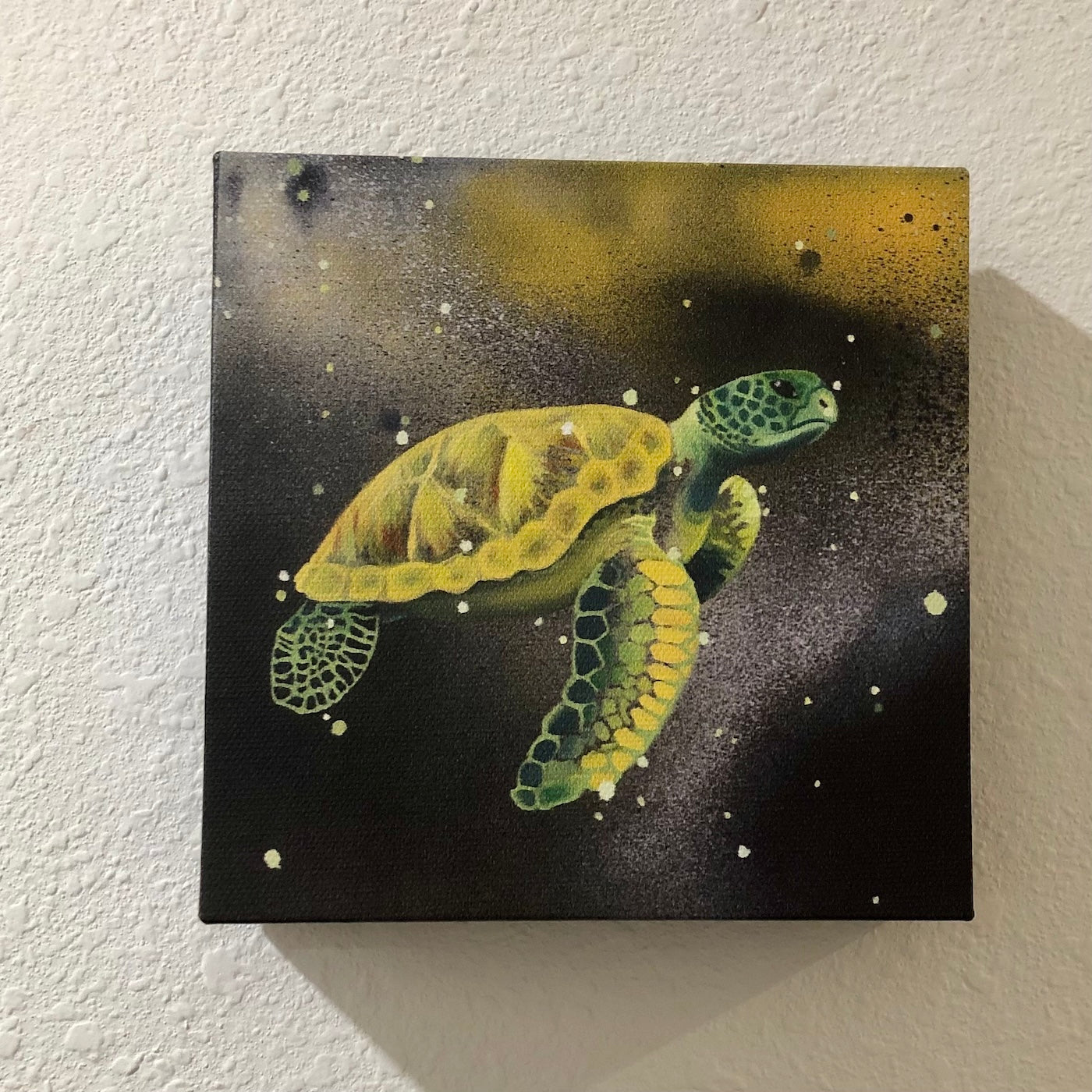 Yellow Sea Turtle 6x6