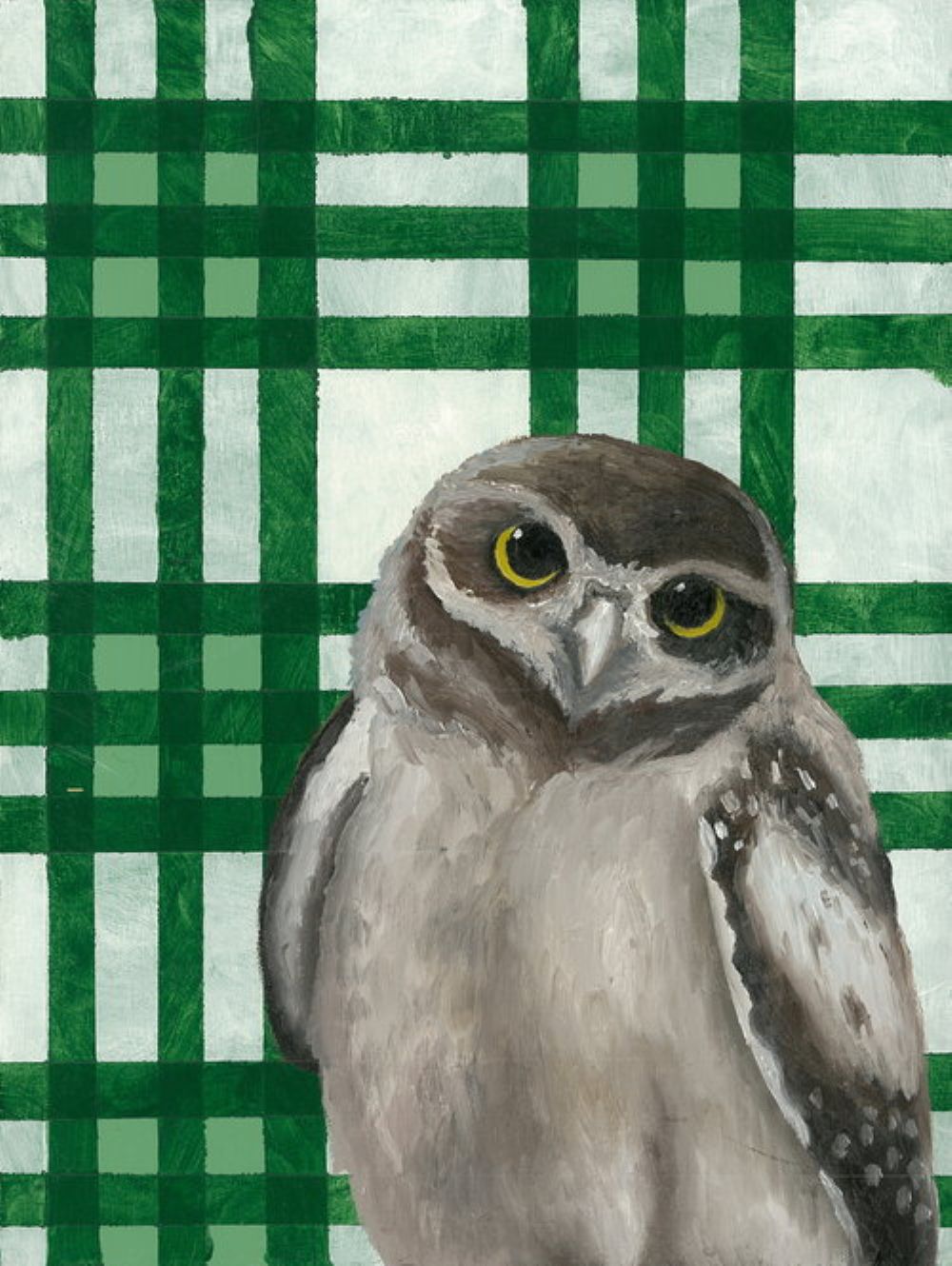 Young Burrowing Owl - Matted Print