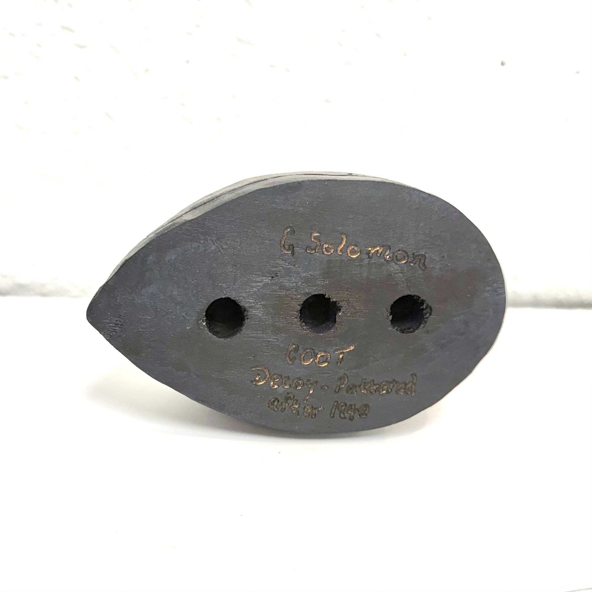 American Coot Confidence Decoy