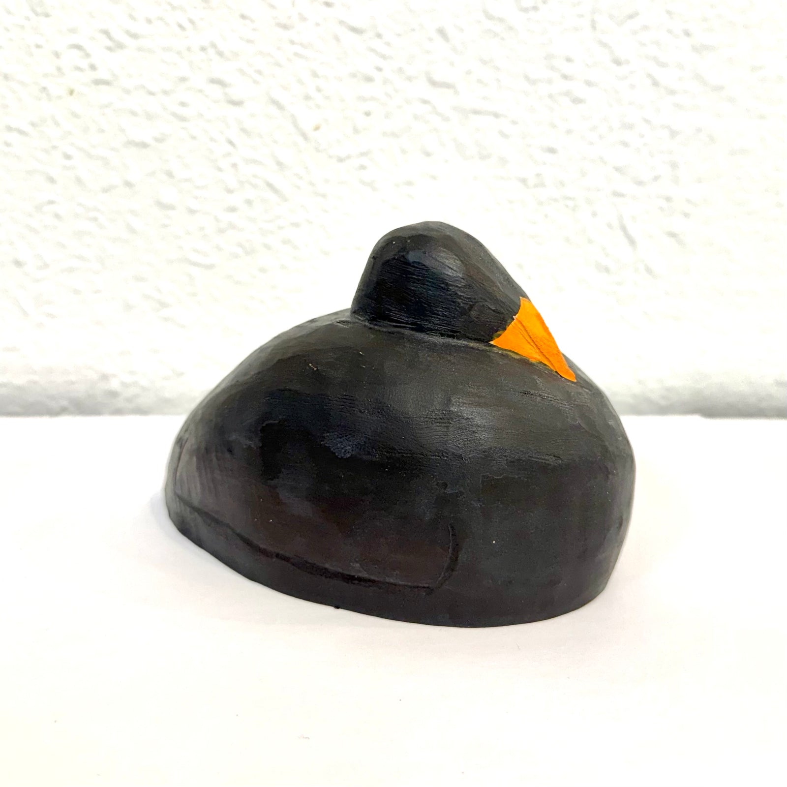 American Coot Confidence Decoy