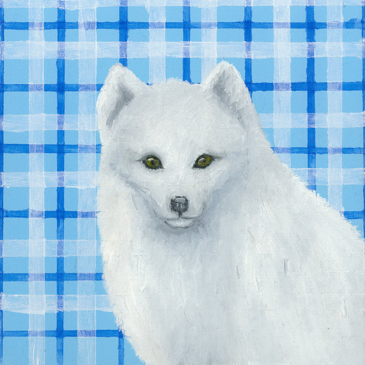 Arctic Fox III