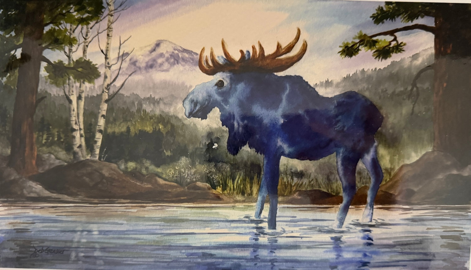 Blue Moose-small