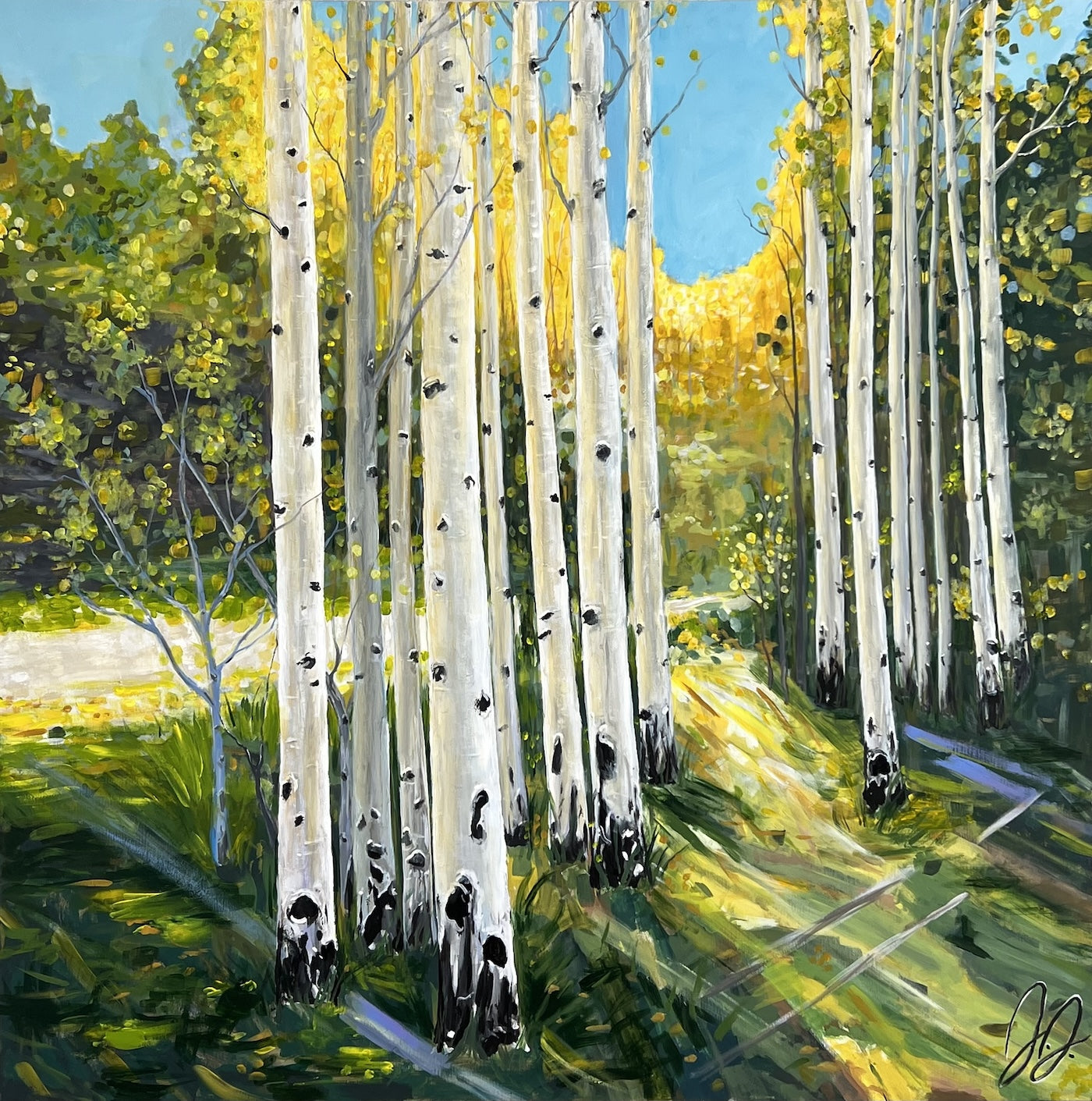 Chandler Forest Aspen Glow