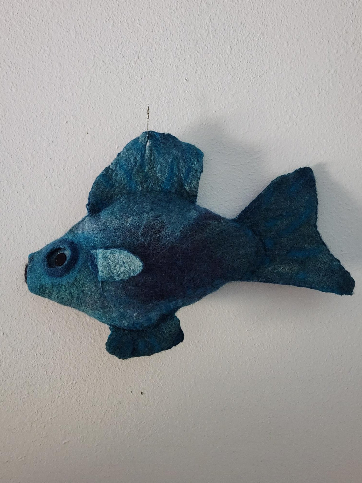 Turquoise fish