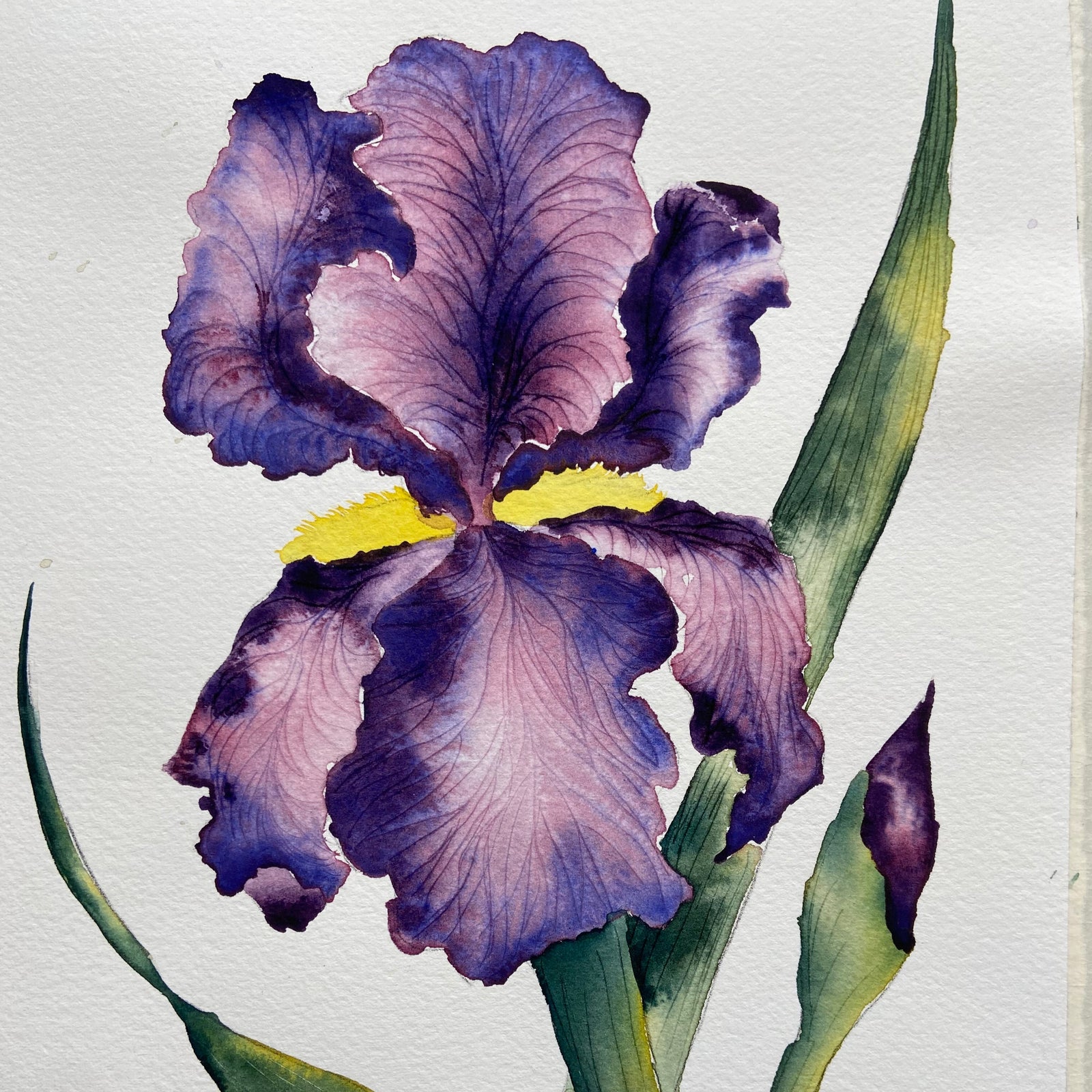 *Private* Beginner Watercolor Florals Art Class Sun. 1.4.26 @ 1P